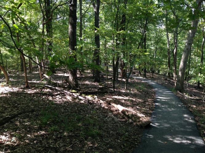 Paved path at Rockwoods Reservation